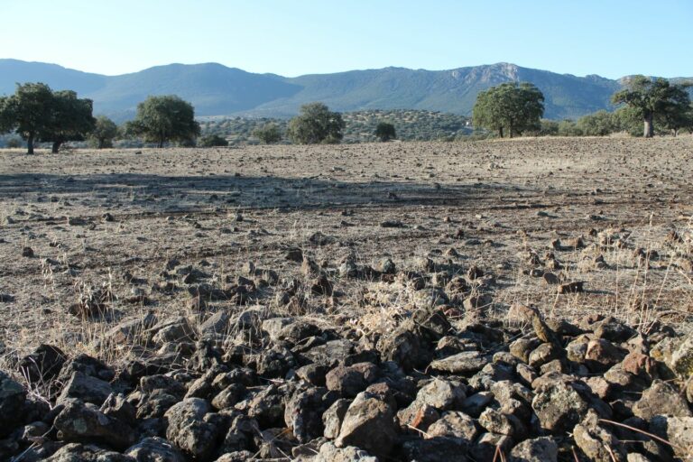 Geoparque de Ciudad Real buscará su declaración como Patrimonio de la Unesco «en este mismo año»
