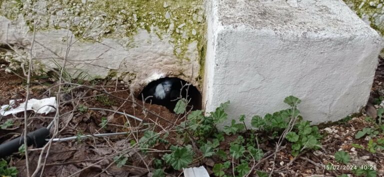 La Policía Local de Ciudad Real libera a un perro que estaba metido en un tubo