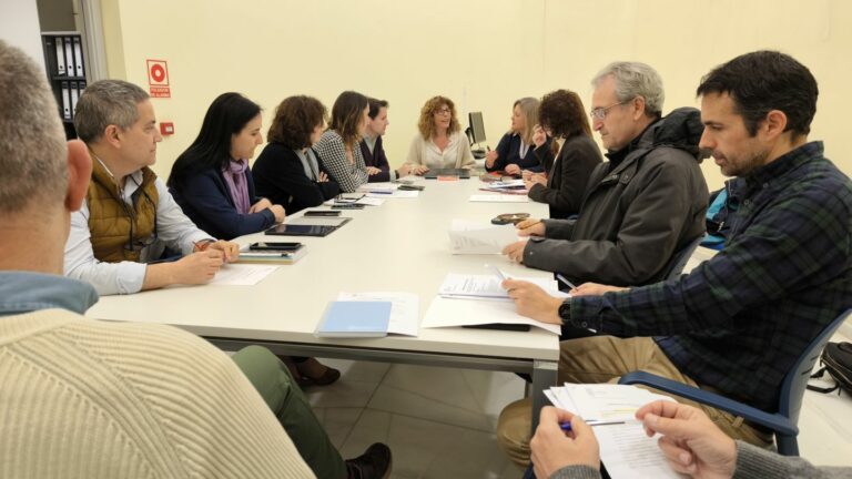La Comisión Técnica de Accesibilidad aborda el “Plan Integral de Accesibilidad” que está ultimando el Ayuntamiento