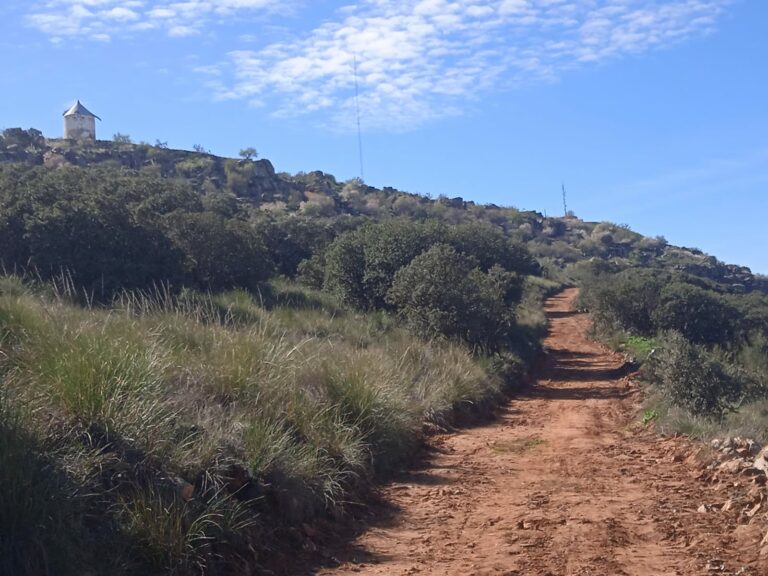 Moral de Calatrava invertirá 105.000 euros en una zona de recreo y la restauración del molino del Cerro de San Cristóbal
