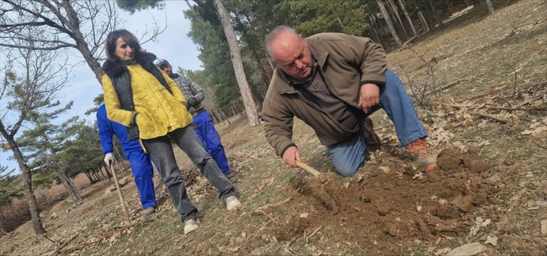 Castilla-La Mancha alcanzó las 160.000 hectáreas certificadas en Montes de Utilidad Pública en el año 2023