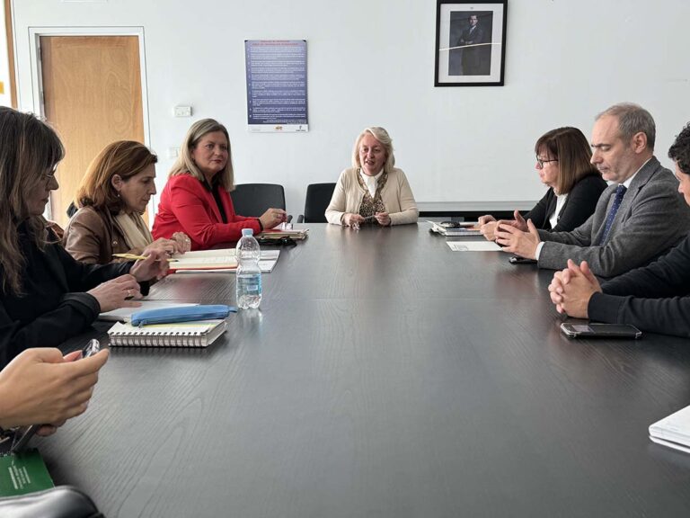 Ciudad Real se prepara ante la nueva regulación de medidas de apoyo a la discapacidad
