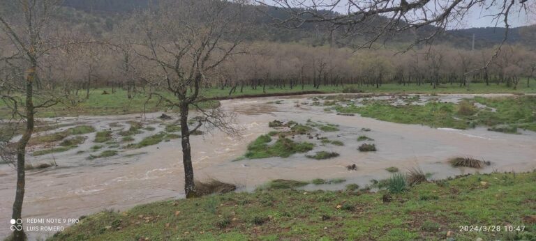 Cortada la línea ferroviaria entre Ciudad Real y Badajoz por el desbordamiento de un arroyo en Guadalmez