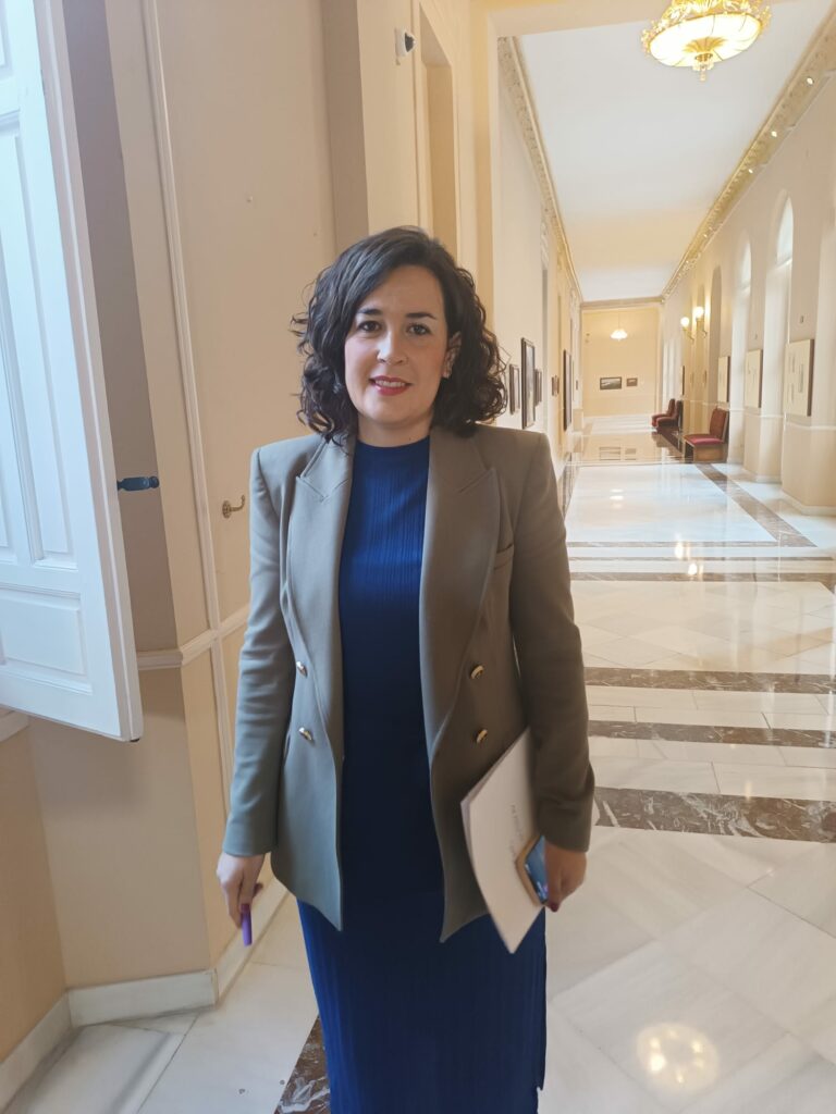 El PSOE lamenta que PP y Vox en la Diputación de Ciudad Real voten en contra de la moción socialista de igualdad entre “discursos machistas, escalofriantes e intolerables”