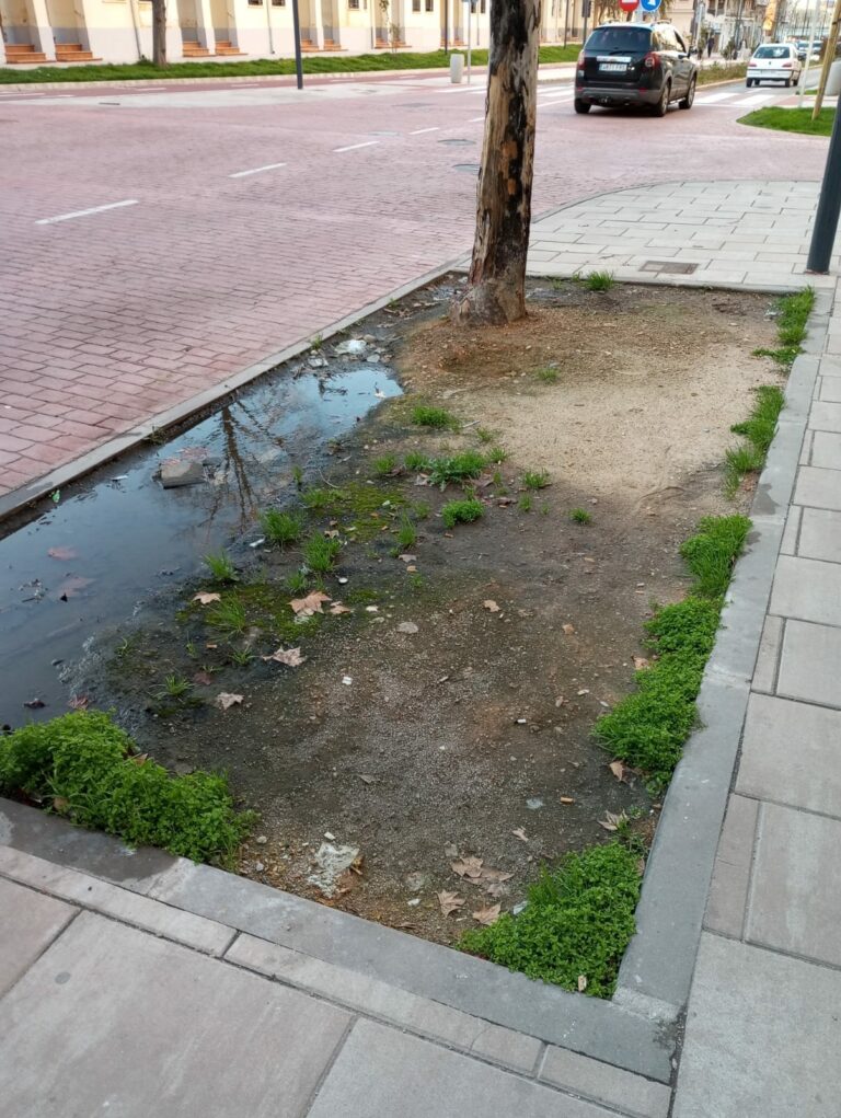 Puertollano: Vecinos denuncian el abandono de las zonas ajardinadas de la calle Ancha