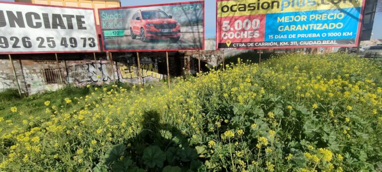 Comunicado de la Asociación de Vecinos Carlos Eraña sobre demandas del barrio de Los Ángeles y promesas “incumplidas”