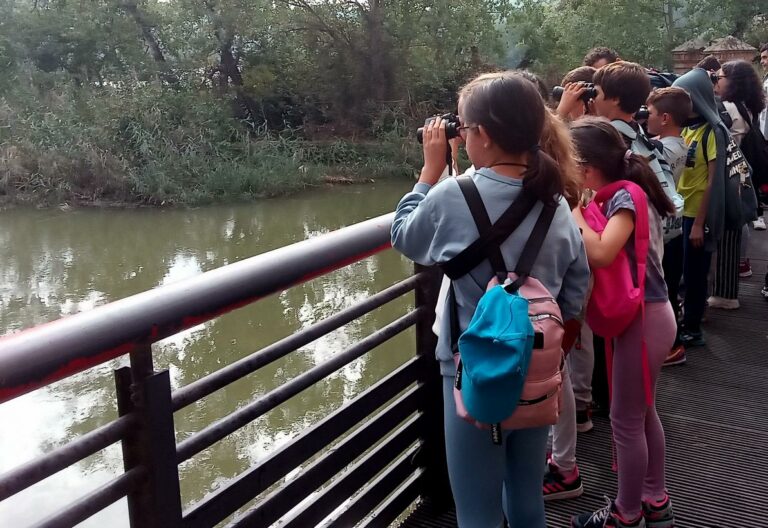 El Gobierno de Castilla-La Mancha destina 40.000 euros a la convocatoria de ayudas para el transporte de centros docentes a espacios naturales y centros de educación ambiental