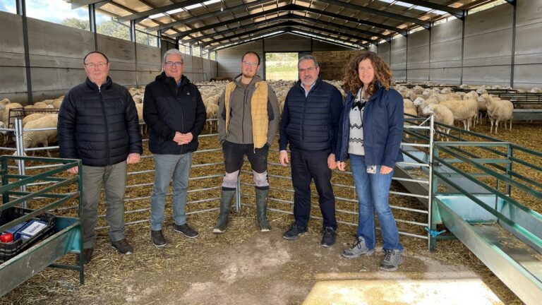 El Gobierno de Castilla-La Mancha garantiza su ayuda para incorporar a todos los jóvenes que lo deseen al sector agrario y ganadero