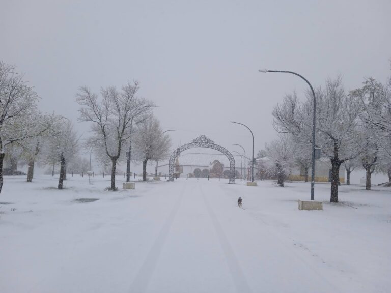 La nieve llega con fuerza y cuaja por el este de Ciudad Real