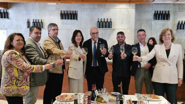 Sociedad, instituciones, bodegas y hostelería, unidos por ‘Alma del Vino’