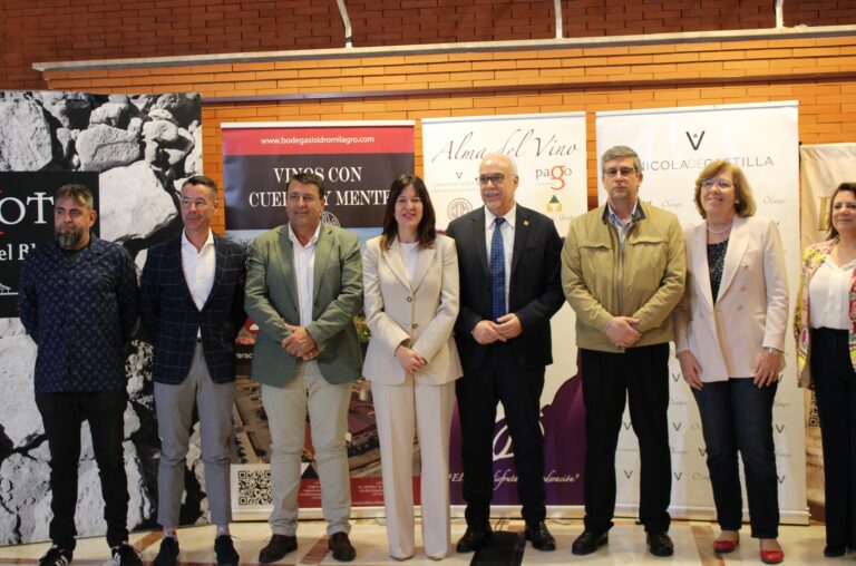 Los 10,4 millones en ayudas VINATI que aporta el Gobierno regional en la provincia de Ciudad Real generarán una inversión de casi 24 millones