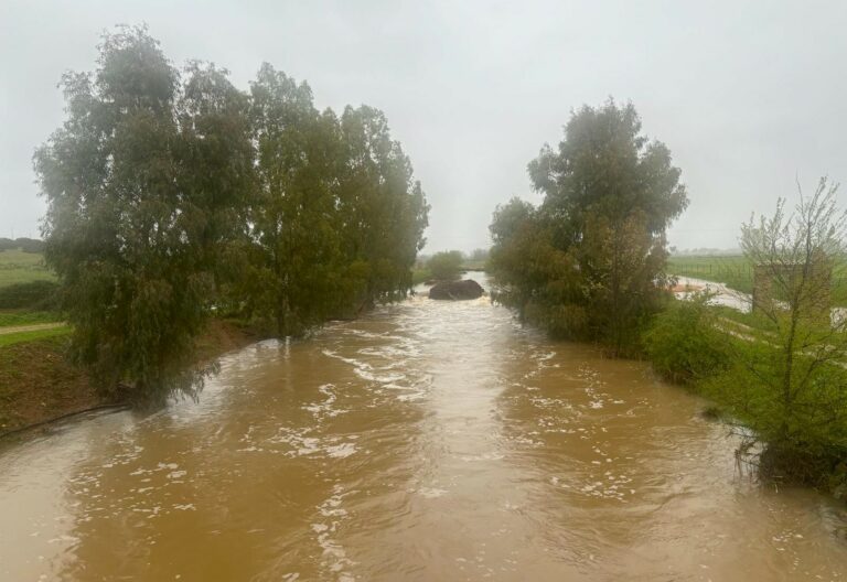 Ciudad Real: Los pantanos de Gasset y Torre de Abraham pasan por fin a situación de normalidad tras cinco años en emergencia