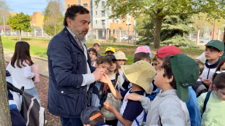 El Ayuntamiento de Ciudad Real habilita el servicio gratuito de recogida de voluminosos en la app Tarjeta Ciudadana