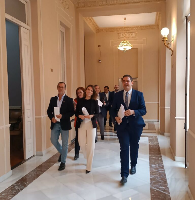 «La buena situación económica heredada del PSOE en la Diputación permite llevar a cabo modificaciones de créditos en favor de los pueblos»