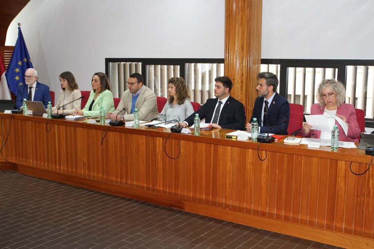 El PSOE de Puertollano advierte de que la ordenanza reguladora del taxi presenta indicios de «irregularidades»