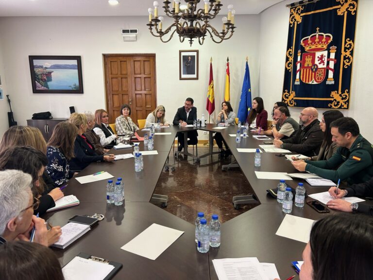 El subdelegado del Gobierno de España en la provincia de Ciudad Real ha presidido la Mesa de Trata Cero