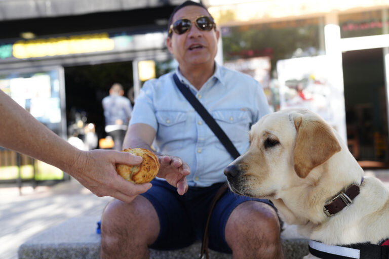 Los perros guía de la ONCE en Ciudad Real piden que no los distraigas con alimentos