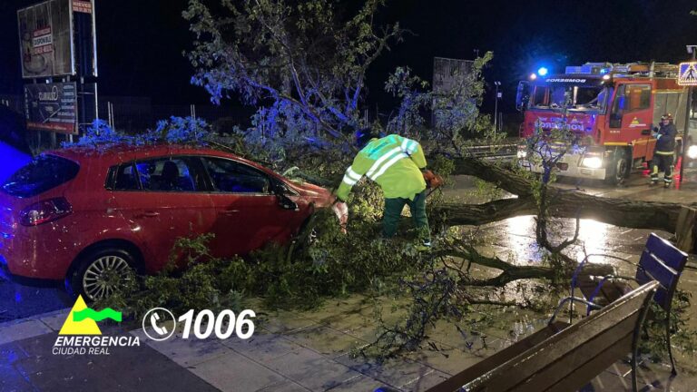 Rescates, inundaciones y caída de árboles: Los bomberos de la provincia de Ciudad Real realizan 31 intervenciones por la borrasca Nelson