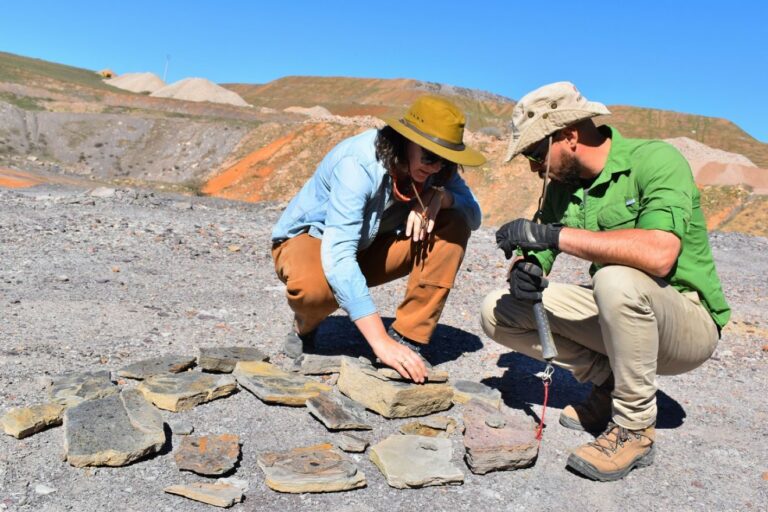 UNED y Ayuntamiento de Puertollano presentan este jueves la cátedra sobre el carbonífero