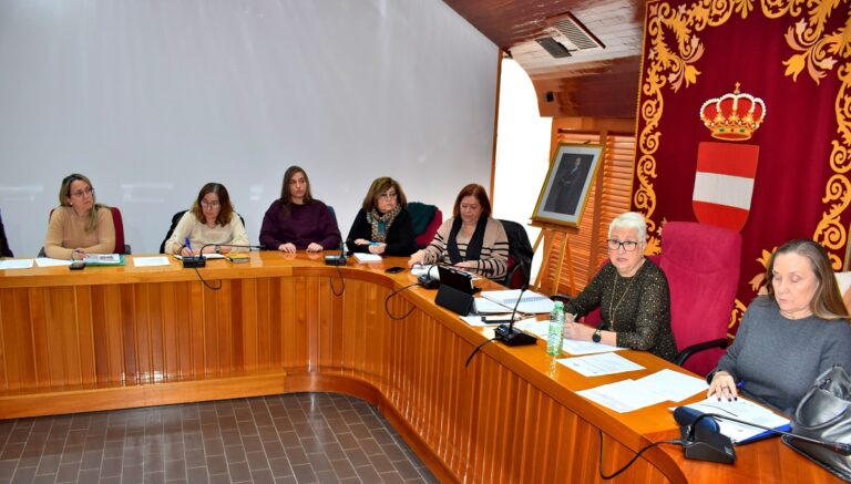 Puertollano: Una comisión actualizará el plan municipal de atención a personas con discapacidad