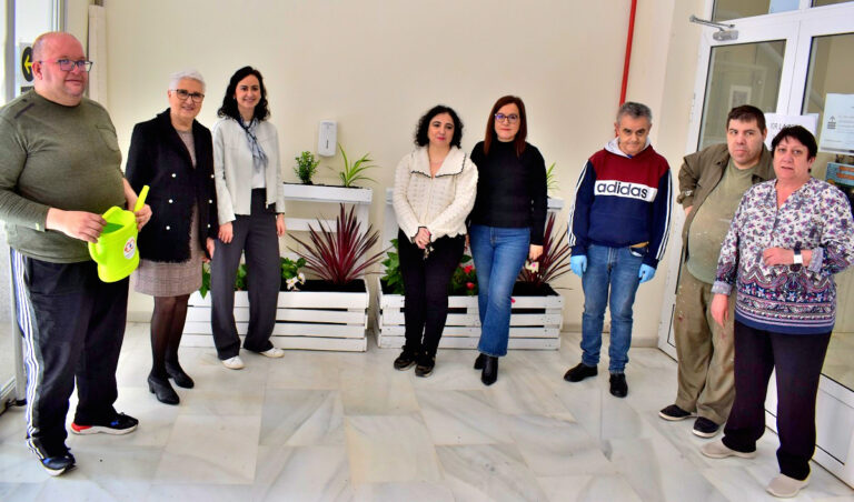 Un nuevo jardín vertical en el Centro de Adultos culmina el proyecto “Puertollano se pone verde”