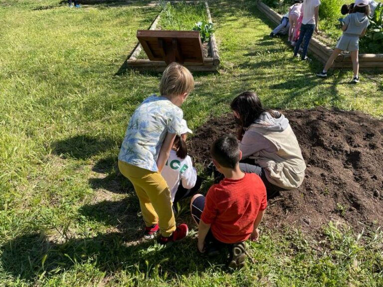 El Gobierno de Castilla-La Mancha impulsa las actividades de educación ambiental en la región con una convocatoria de ayudas de 120.000 euros