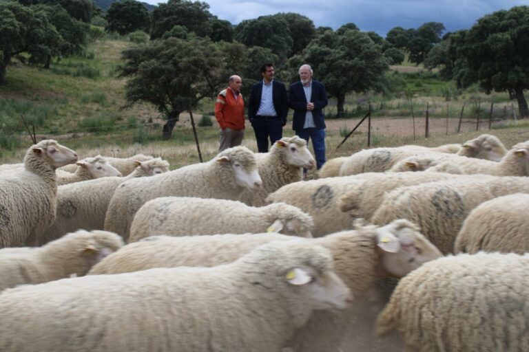 El Gobierno de Castilla-La Mancha reivindica un medio rural vivo que crece sobre sus raíces y que merece progreso y bienestar