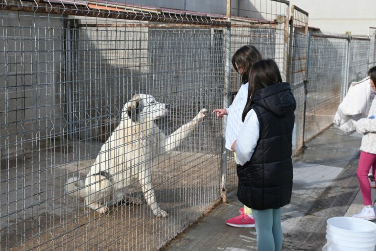 La concejalía de Medio Ambiente realiza una campaña de sensibilización en la adopción de animales abandonados