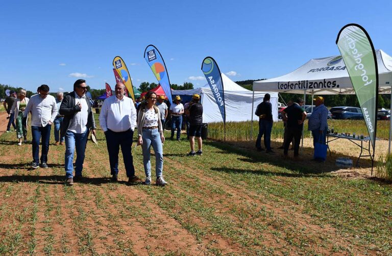 Castilla-La Mancha pone en marcha ayudas para mejorar la capacitación digital de los agricultores y ganaderos de la región