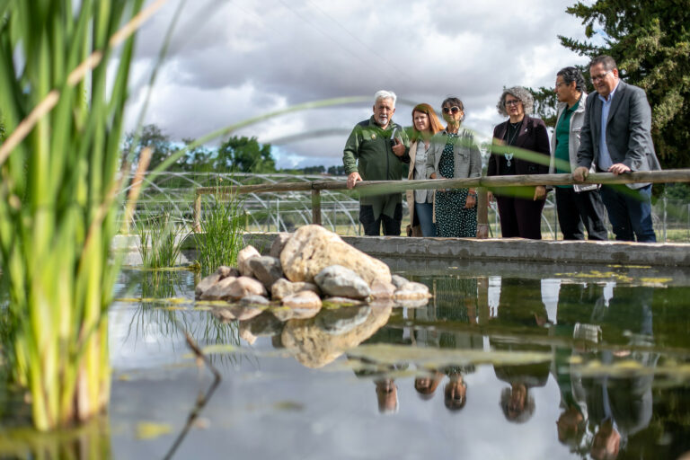 El Gobierno regional colabora con SEACAM para abordar la necesaria conservación de los insectos en los ecosistemas de la Reserva de la Biosfera de la Mancha Húmeda