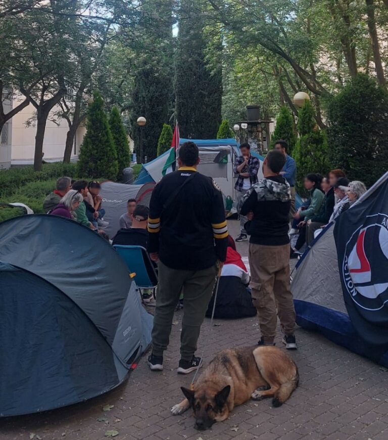 Levantan la acampada en la Facultad de Letras de Ciudad Real una vez reconocido el Estado Palestino