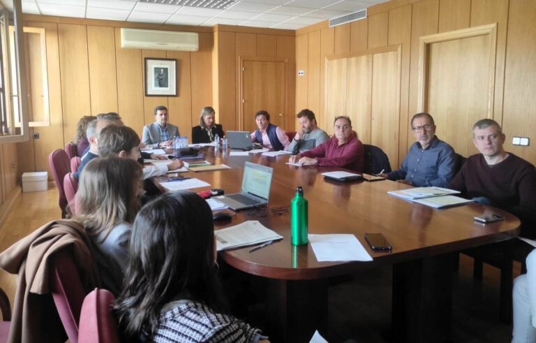 El Gobierno de Castilla-La Mancha da el visto bueno a 16 proyectos que suponen más de 26 millones de inversión en la provincia de Ciudad Real