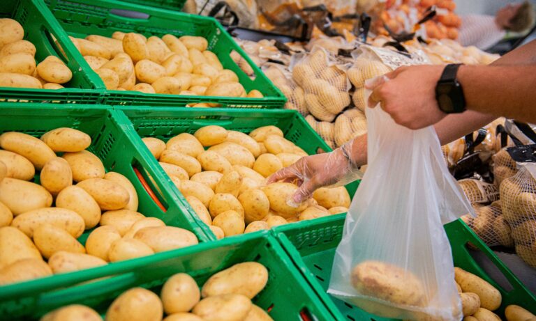 Mercadona prevé comprar 94.000 toneladas de patatas de origen nacional en 2024, un 6% más