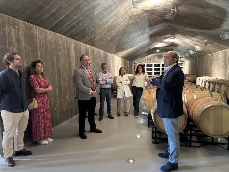El Gobierno regional informa que marzo ha sido el mejor de la historia en valor para las exportaciones vitivinícolas de Castilla-La Mancha