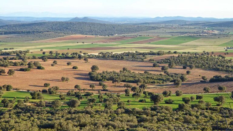 «Sí a la Tierra Viva» denuncia ante el Defensor del Pueblo las «presiones» del GEMPEC sobre administraciones para que validen el proyecto de tierras raras