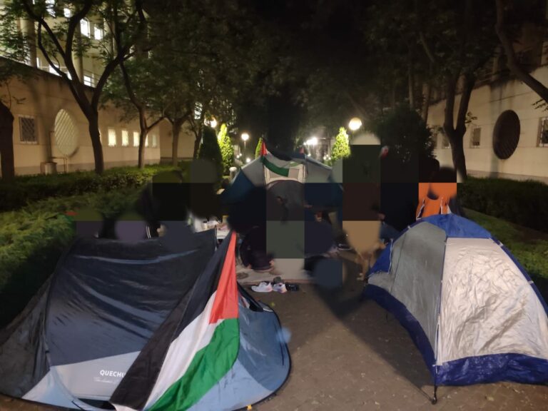Ciudad Real con Palestina denuncia la “represión” sufrida en la concentración de ayer en la que dos activistas fueron detenidos por la policía