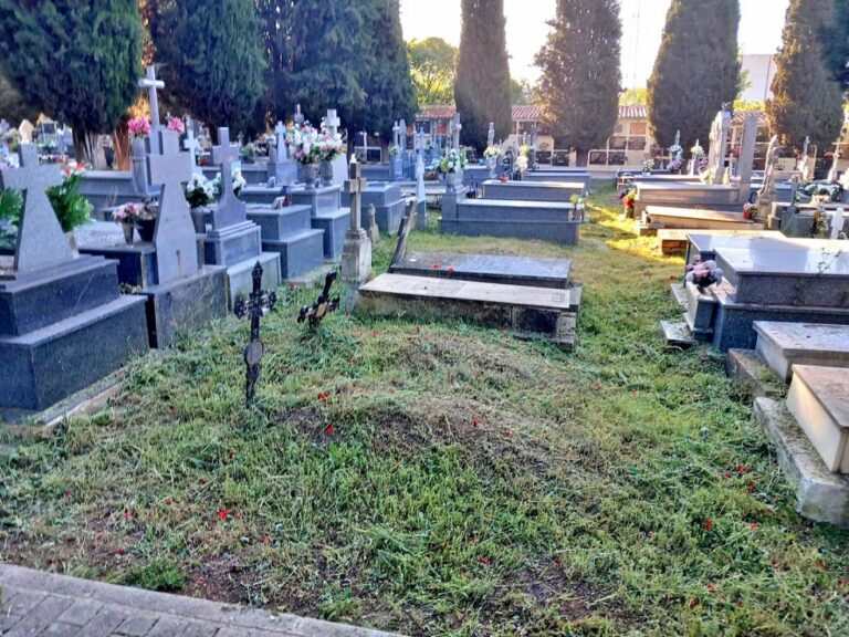 El cementerio de Puertollano mejora su imagen con la limpieza y desbroce de 40.000 metros