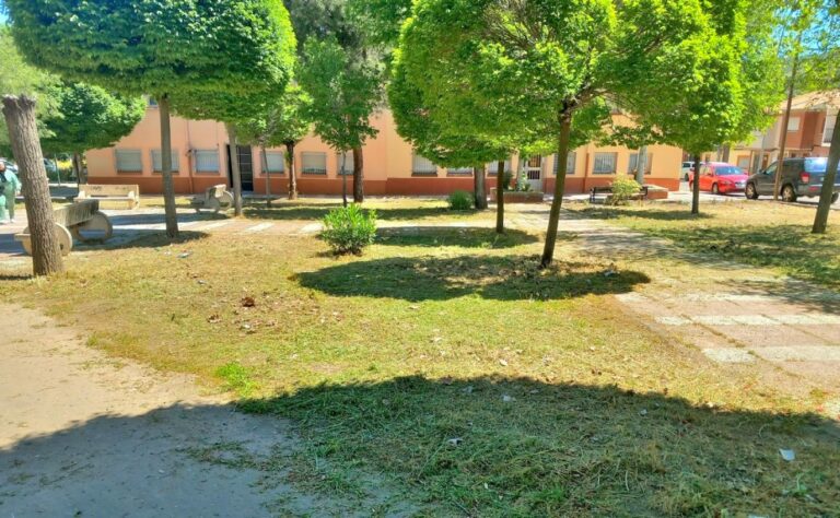 El Ayuntamiento de Puertollano inicia el plan de limpieza y desbroce en el Pozo Norte, Fraternidad, El Poblado y entorno del AVE