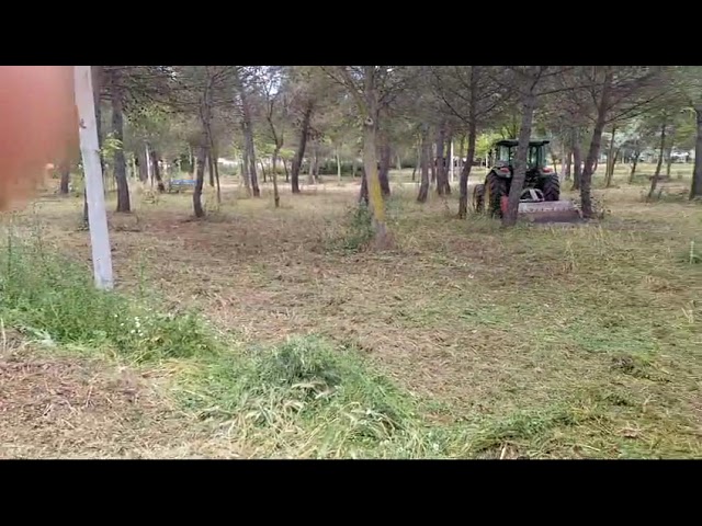 Puertollano: Pasando la maquinilla de segar por el Parque Pozo Norte