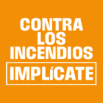 300x600px