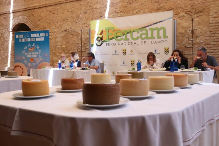 40 quesos manchegos “de muy buena calidad” buscan la medalla de oro de Fercam 2024