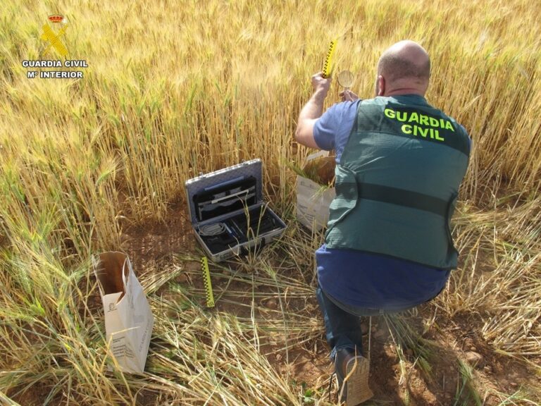 La Guardia Civil de Ciudad Real esclarece varios delitos contra la propiedad industrial de cereal