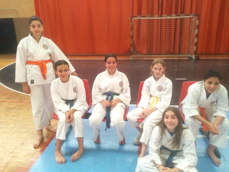Ciudad Real: Celebrado el torneo infantil y juvenil del club Shotokan