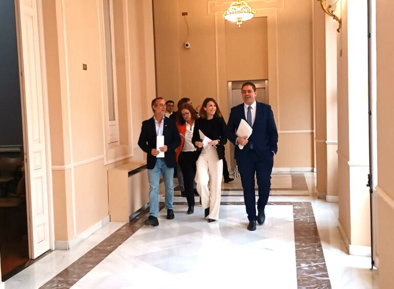El Grupo socialista de Diputación fuerza la adhesión de la institución provincial a la declaración de la FEMP con motivo del día del orgullo LGTBI