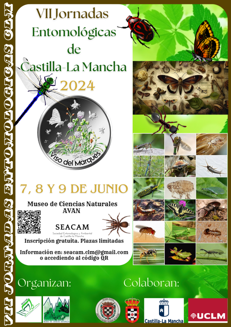 VII Jornadas Entomológicas de Castilla-La Mancha: Del 7 al 9 de junio en Viso del Marqués