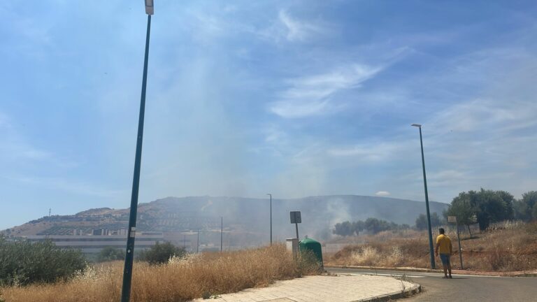 Puertollano: Provocan maliciosamente dos incendios en plena jornada de quemas controladas, uno de ellos arriesgando viviendas del PAU