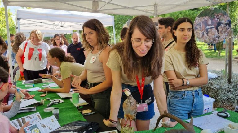 26 carpas de la Casa de la Ciencia florecen en el Parque de Gasset