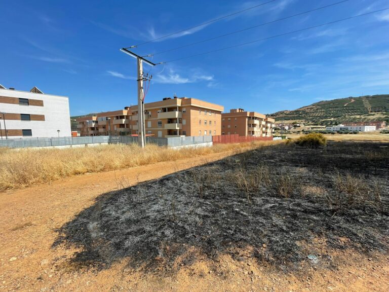 Puertollano: IU insiste en la necesidad de limpiar y desbrozar en todas las barriadas para evitar incendios