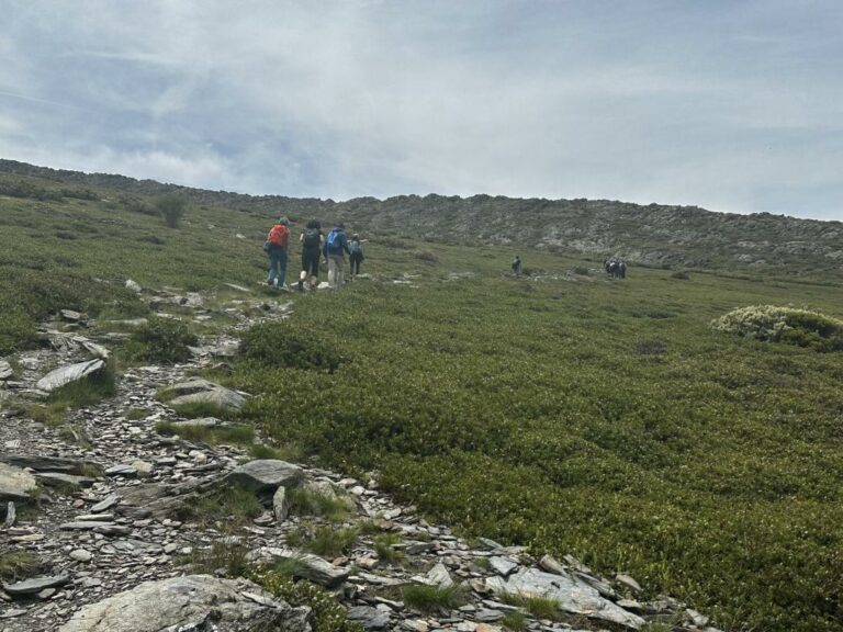 El Gobierno de Castilla-La Mancha organiza una treintena actividades dentro del programa ‘Vive tu Espacio’ para los meses de verano