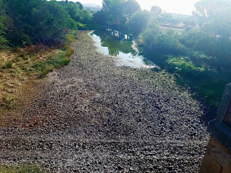 Los portavoces del PP de Piedrabuena y Luciana denuncian la situación del río Bullaque